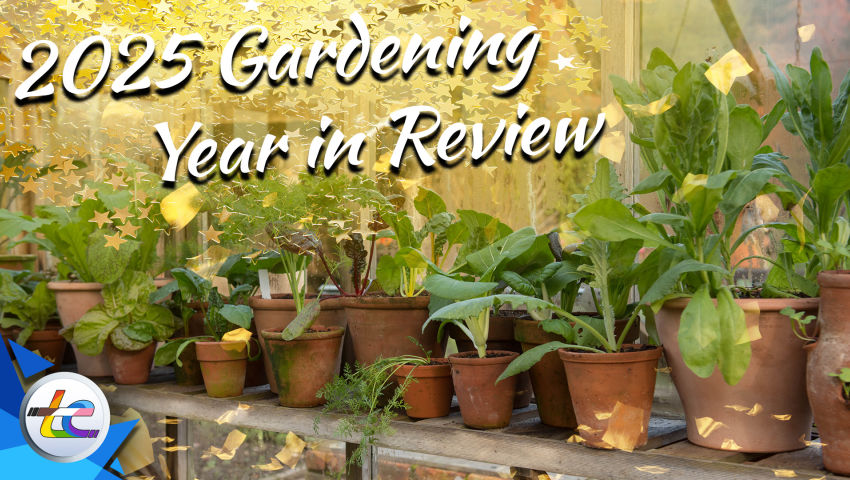 Transport Evolved Take 2