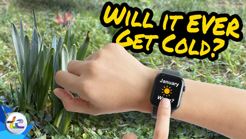 Transport Evolved Take 2