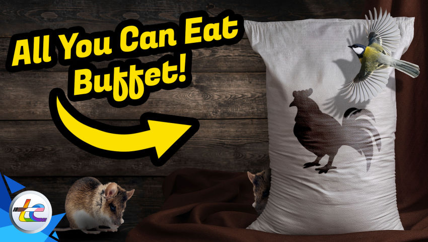 Transport Evolved Take 2