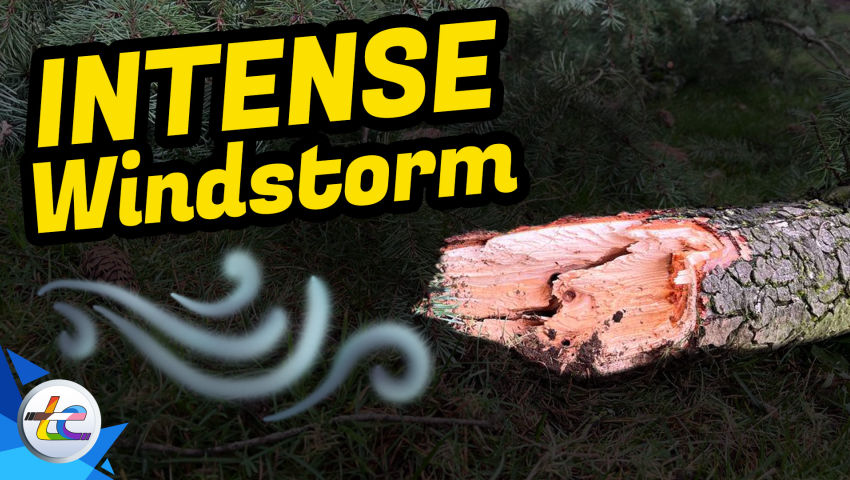 Transport Evolved Take 2